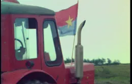Nông thôn Quảng Trị năm 1973