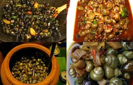 Ghé cồn Phú Đa thưởng thức ốc gạo 