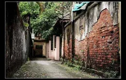 Về thăm làng cổ Kẻ Vẽ, Hà Nội