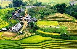 Sa Pa - Nơi gặp gỡ của đất, trời và tình yêu