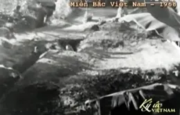 Những mái trường lá cọ thời chiến tranh