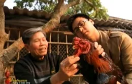 Gà Đông Tảo - Món quà Tết độc đáo của Hưng Yên