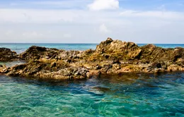 Những lý do bạn nên đến Puerto Rico