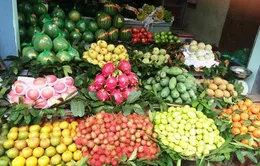 Cận Tết, hoa quả tăng giá mạnh