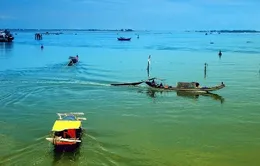 Sóng nước Tam Giang