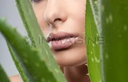 Làm đẹp da bằng thảo dược, Collagen