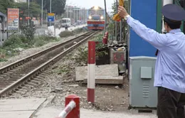 Bộ GTVT khẩn trương làm rõ thông tin đưa hối lộ trên báo Nhật 