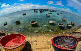 Vẻ đẹp đảo Lý Sơn, Quảng Ngãi