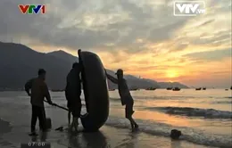Lặng ngắm bình minh trên biển Việt Nam