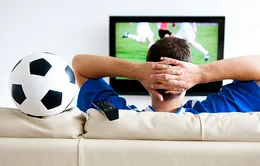 Dịch vụ cho thuê tivi xem World Cup