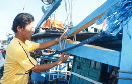 Ngư dân Quảng Nam can trường giữ biển