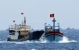 Cập nhật 7/6: Trung Quốc tiếp tục đâm va, ném chai lọ sang tàu Việt Nam