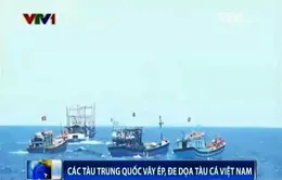 Tình hình Biển Đông ngày 7/6: Các tàu Trung Quốc vây ép, đe dọa tàu cá Việt Nam 