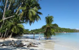 Seychelles - Thiên đường cho những tâm hồn lãng mạn