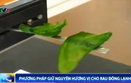 Trehalose - Giải pháp mới bảo quản rau tươi quanh năm