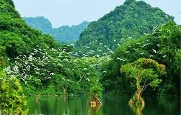 Khám phá thiên đường du lịch Thung Nham
