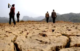 Triều Tiên đối mặt đợt hạn hán nghiêm trọng nhất hơn 10 năm qua