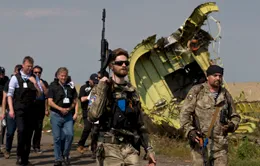 Vụ tai nạn MH17: Khoảng 80 thi thể chưa thu thập được