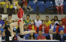 TDDC Việt Nam trước những đổi mới