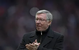 Sir Alex: "MU thua vì thiếu bình tĩnh"