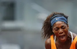 Sharapova thẳng tiến bán kết, Serena suýt ôm hận