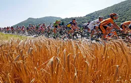 Tour de France 2013 qua ảnh: Những cú nước rút ngoạn mục
