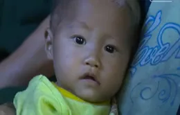 Một trái tim núi rừng cần bao bọc