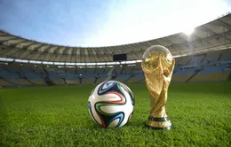 Câu chuyện quả bóng Brazuca sử dụng trong World Cup 2014