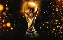 Cúp vàng FIFA World Cup ngày mai (31/12) sẽ đến Việt Nam