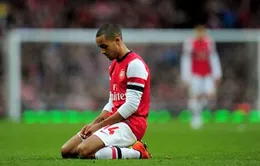 Walcott bỏ lỡ World Cup 2014 vì chấn thương