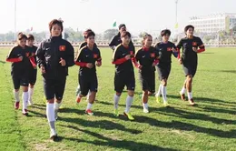 Giấc mơ 2014 của bóng đá Việt Nam