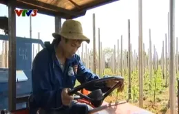 Phùng Văn Nhiên - Chàng cầu thủ thích nghề nông