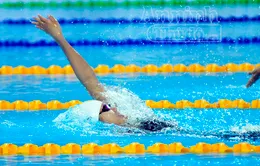 Ánh Viên lọt Top 10 thế giới 