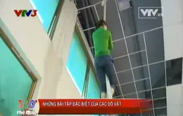 Những bài tập đặc biệt của các đô vật