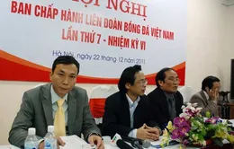 Hoài nghi chức danh Phó chủ tịch phụ trách chuyên môn VFF
