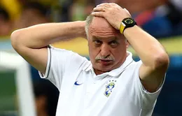 Brazil sa thải HLV Scolari?