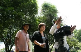 Phim tài liệu Biệt động Sài Gòn lên sóng VTV1