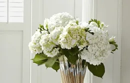 Làm mới những vật dụng đã cũ