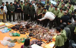 Hiểm họa từ việc sử dụng sản phẩm động vật hoang dã