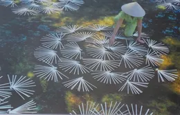 Chiêm ngưỡng các di sản văn hóa Việt Nam tại TP.HCM
