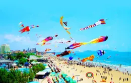 Festival Diều quốc tế đa màu sắc trên bầu trời TP biển Vũng Tàu