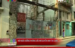 Nơi nuôi dưỡng những ước mơ quyền anh tại Cuba