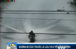 VIDEO: Thâm nhập đường dây thuốc lá lậu vào TP.HCM