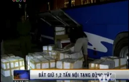 Bắt giữ 1,2 tấn nội tạng động vật không rõ nguồn gốc