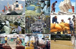 Thủ tướng chỉ đạo các công tác cần tập trung triển khai sau Tết