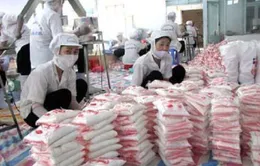 Hạn ngạch nhập khẩu muối, đường, trứng năm 2013