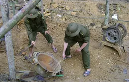 Quảng Nam: Nỗ lực ngăn chặn khai thác vàng trái phép