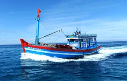 Những phụ nữ “nặng lòng” với biển