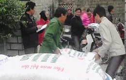 Phân bón nông nghiệp: Không thiếu, sao giá vẫn cao?