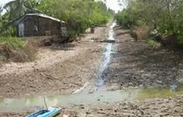 Thiếu hụt ngiêm trọng nguồn nước ở ĐBSCL